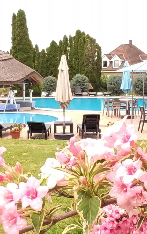 Helena Studio Apartman Siófok Esterno foto